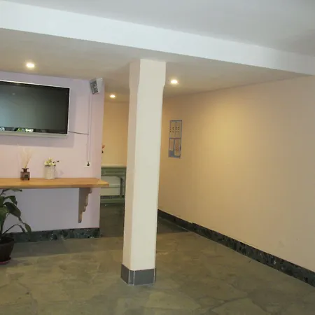 Patricia Apart Otel Zermatt